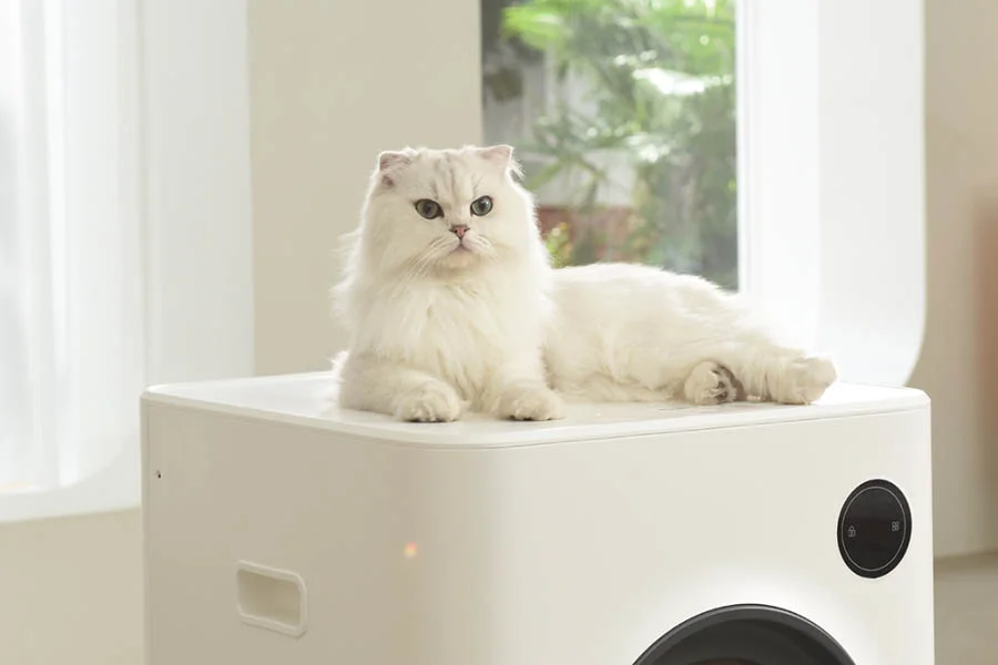 electric litterbox