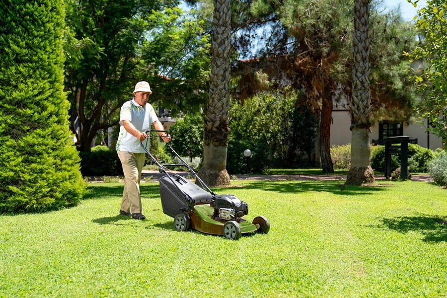 electric grass cutter