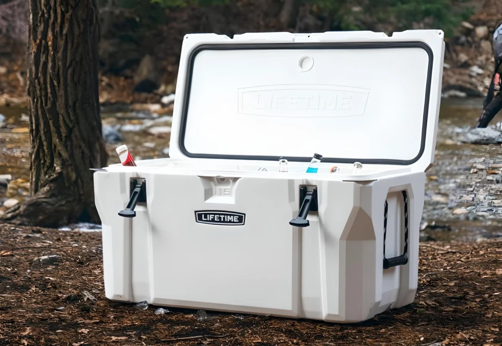 portable cool box fridge