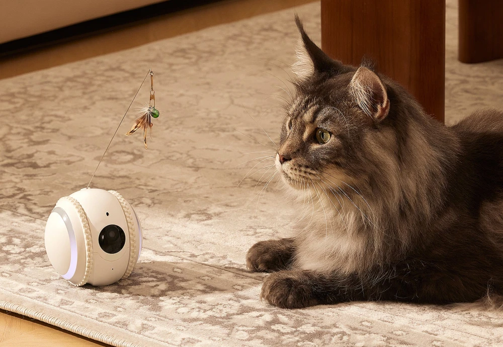 portable pet camera