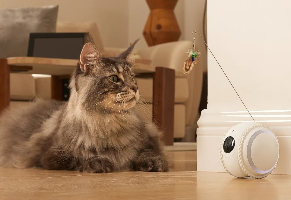 robot camera for pets