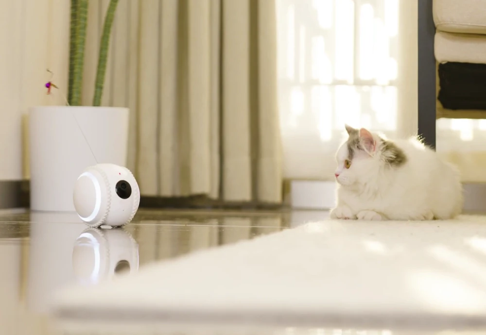 best pet security camera