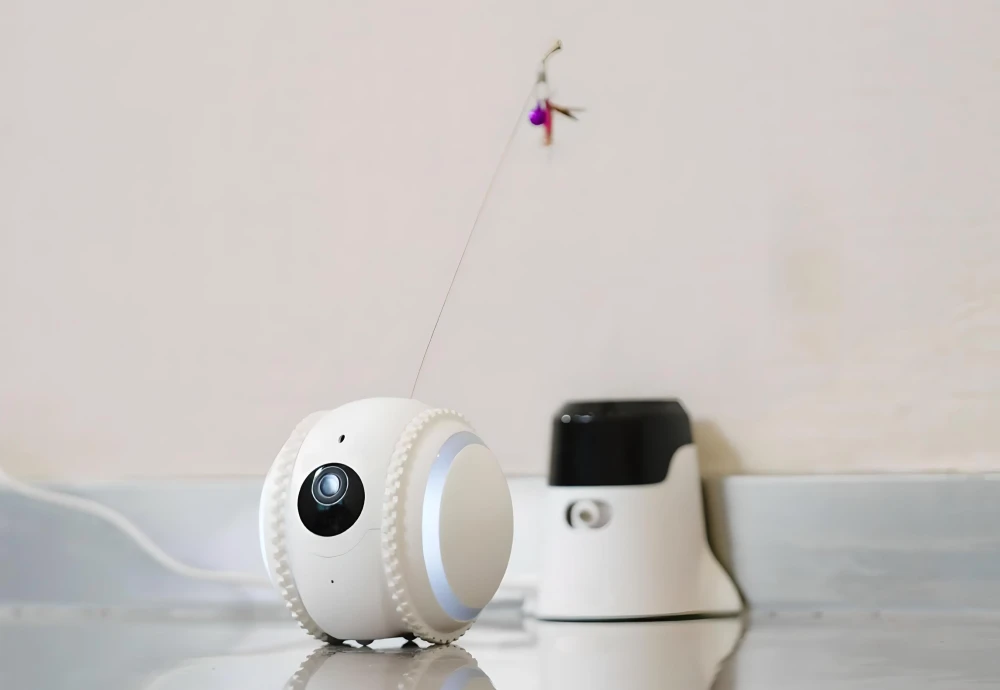 best pet indoor camera