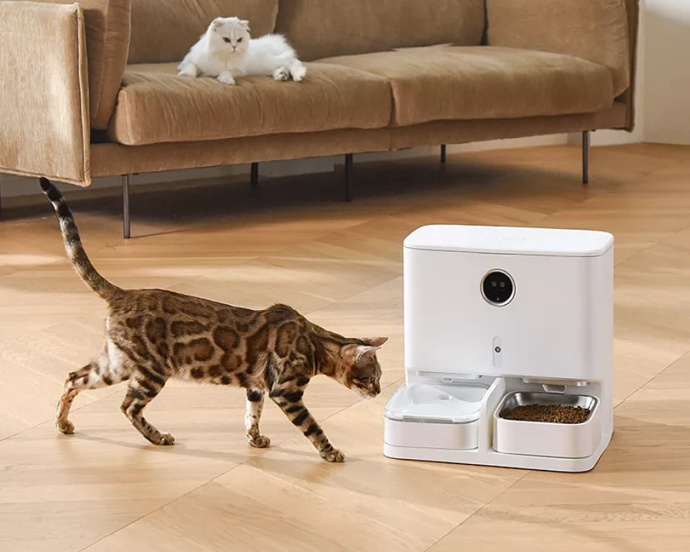 automatic pet feeder for 2 cats