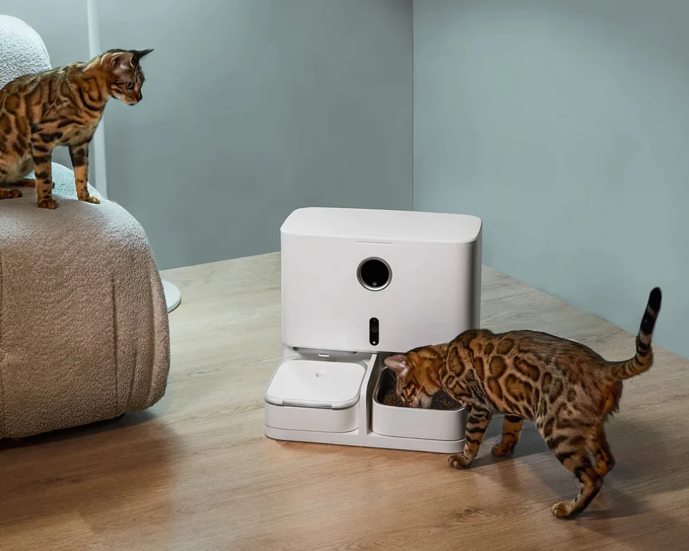 pet food dispensers