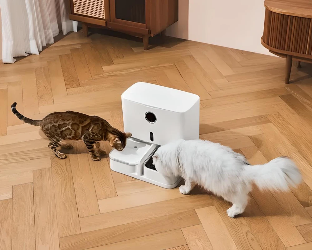 automatic pet feeder for multiple cats